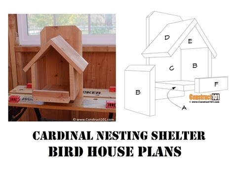 diy cardinal nesting shelter bird house plans etsy mexico