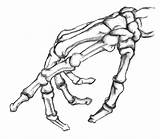 Reaching Squelette Bones Anatomical Croquis sketch template