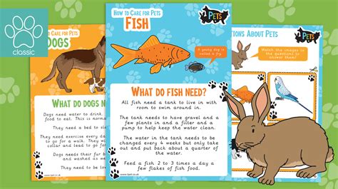 teachers pet   care  pets posters  questions