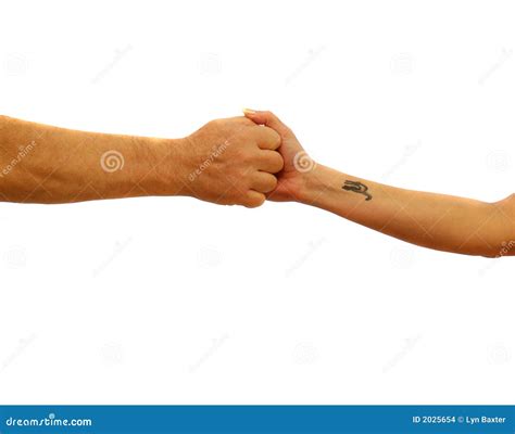 gripping hands stock images image