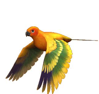 parrot gif gif abyss