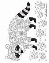 Raccoon Colouring Fall Zentangle Cute Mycoloring Coloringbay Skunk Woojr sketch template