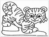 Tiger Coloring Pages Baby Cub Lsu Template Drawing Tigers Colouring Cartoon Wolf Preschool Templates Print Printable Leopard Head Auburn Snow sketch template