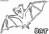 Bat Coloring Pages Animal Realistic Colorings sketch template