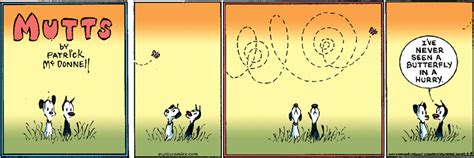 mutts comic strips  honor   day  spring