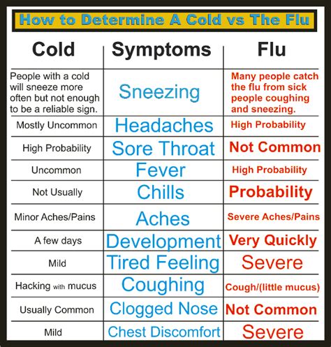 cold  flu influenza symptoms treatments   prevention