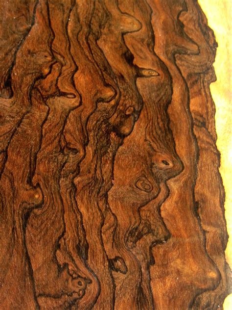 woodwork exotic wood grain  plans