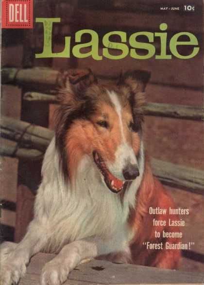 With This Photo Cover I Should Tell You About Lassie S