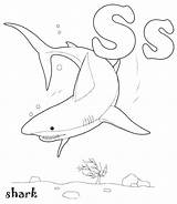 Shark Coloring Goblin Pages Hammerhead Getcolorings Print Getdrawings sketch template