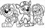 Coloring Paw Patrol Pages Printable Kids Easter Party Print Plaid Pool Color Getcolorings Zumba Zuma Getdrawings Colorings Tag Book sketch template