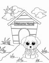 Beanie Boo Glubschis Ausmalbilder Drucken Colouring Boos Everfreecoloring Ty Unicorns Coloringonly sketch template