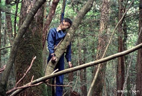 8 foto menyeramkan hutan tempat orang bunuh diri di jepang aokigahara cewekbanget id
