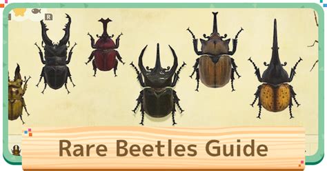 acnh beetle guide   catch stag horned beetles animal crossing gamewith