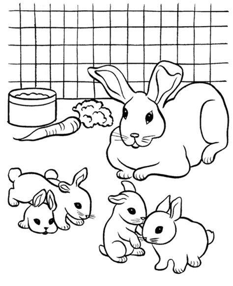 printable rabbit coloring pages gs
