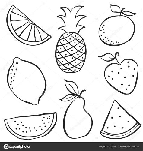 hand draw  fruit fresh doodle stock vector  kongvector