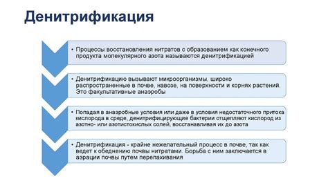 Доклад на тему Круговорот азота презентация онлайн