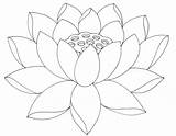 Lotus Outline Flower Coloring Simple Pages Drawing Clipart Cliparts Az Clip Library Favorites Add Popular sketch template