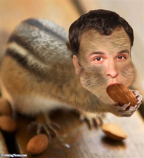 squirrel man eating nuts pictures