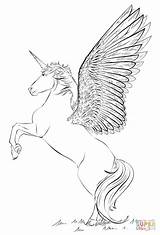 Unicorn Coloring Wings Pages Realistic Drawing Draw Step Color Eenhoorn Supercoloring Printable Drawings Tutorials Online Magical Fairy Vleugels Met Kleurplaat sketch template