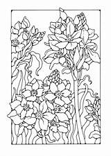 Lilie Malvorlage Lelie Kleurplaat Giglio Colorear Disegno Ausmalbild Schulbilder Lily Schoolplaten Scarica sketch template