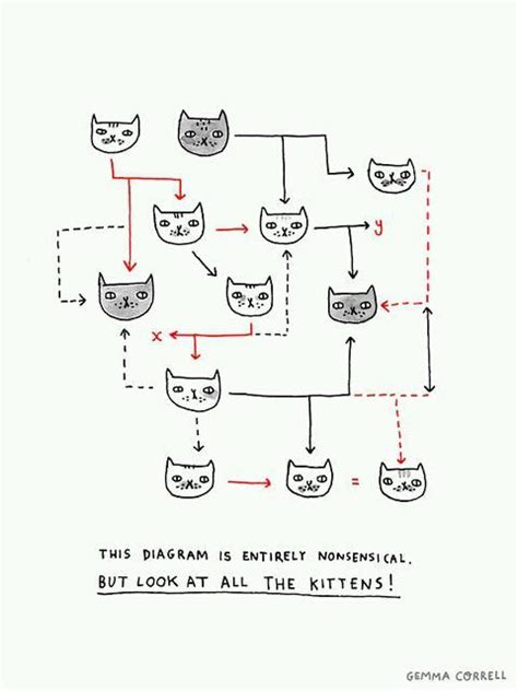 Cat Diagram Funny Kitten Lol Image 256402 On