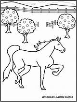 Coloring Pages Saddle Horse Colouring Library Ridge Ranch sketch template