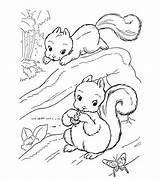 Squirrel Coloring Pages Printable Child sketch template
