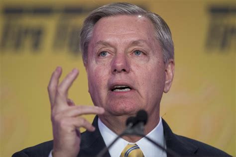 lindsey graham  president   deploy  military