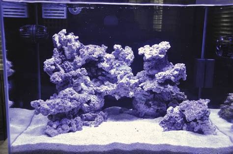image result  real reef rock saltwater aquarium reef tank