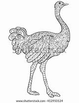 Ostrich Zentangle sketch template