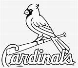 Coloring Louis St Cardinals Pages Wallpaper Nicepng sketch template