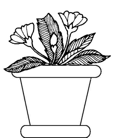 potted plants coloring pages clipart panda  clipart images