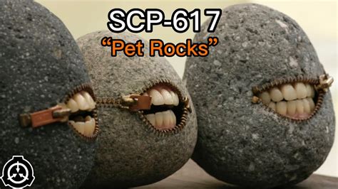 scp  pet rocks object class euclid youtube