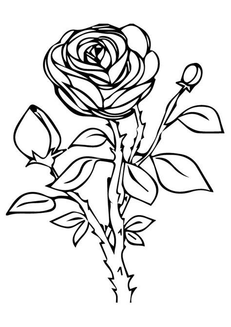 printable rose coloring pages rose coloring pictures