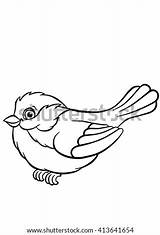 Titmouse Bird Template sketch template