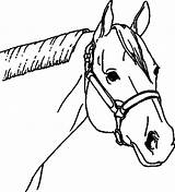 Horse Halter Drawing Pages Horses Award Come Getdrawings sketch template