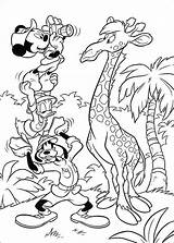 Safari Mickey Coloring Fun Kids Votes sketch template