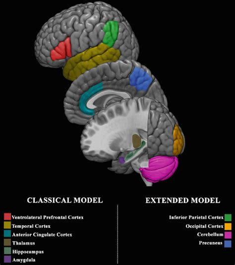 cerebral basis  bipolar disorder  classical model  brain areas  scientific