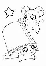 Hamtaro Coloring Pages Tv sketch template