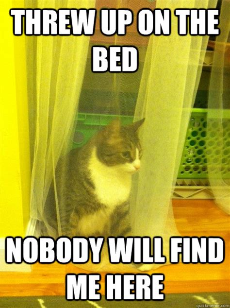 hiding from trouble kitteh memes quickmeme