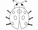 Ladybug Ladybugs Careersplay Homecolor sketch template