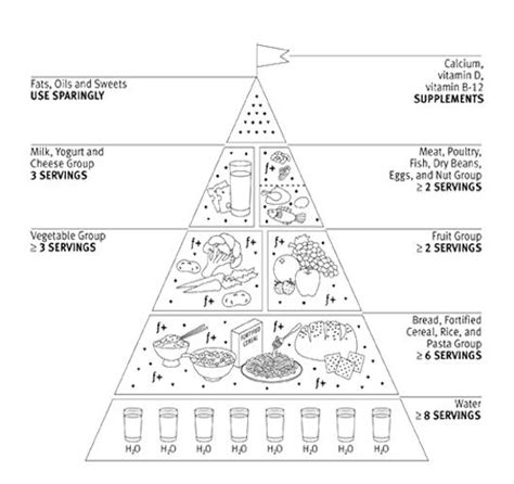 modified food pyramid   adults coloring page food pyramid