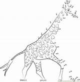 Giraffe Dot Dots Running Connect Worksheet Animal Printable Kids Big Animals Print Connectthedots101 sketch template