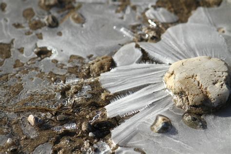 eisblume foto bild jahreszeiten winter frost bilder auf fotocommunity