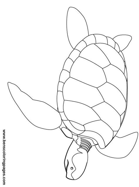 turtle coloring pages  kids turtle coloring pages turtle drawing
