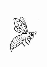 Abeille Bijen Kleurplaten Coloriage Kleurplaat Dessin Imprimer Wesp Fbfe Wasp Coloriages Papillon Abeilles Insectes Petite Bienen Animaatjes Petit Insecten sketch template