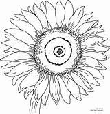 Van Gogh Sunflowers Drawing Coloring Printable Getdrawings sketch template