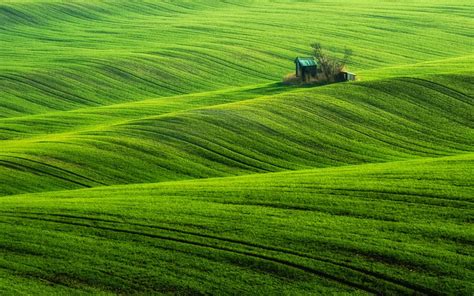 beautiful field wallpapers most beautiful places in the
