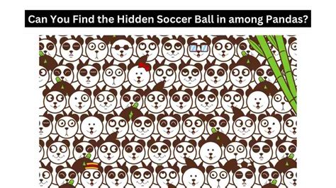 Brain Teaser For Iq Test Can You Find The Soccer Ball Hidden In The