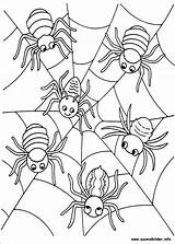 Ausmalbilder Colorir Bruxas Spinnen Coloriage Spinne Kleurplaten Pianetabambini Colorat Planse Pärlmönster Ragni Kleurplaat Spiders Bezoeken Lieblingshelden Kino Hunderte Fernsehserien Deinen sketch template